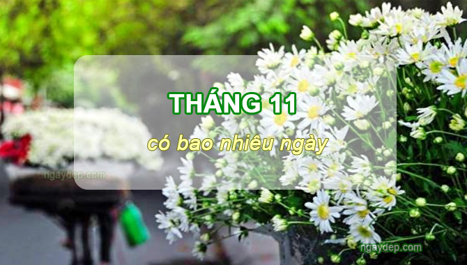 Tháng 11 có bao nhiêu ngày, tuần, giờ, phút, giây? Tháng 11 có ngày 31 không?