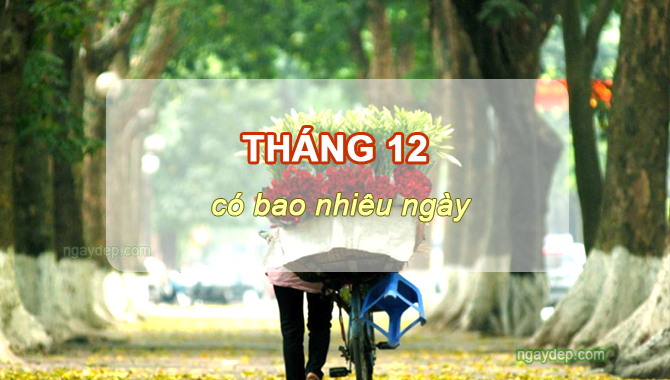 Tháng 12 có bao nhiêu ngày, tuần, giờ, phút, giây? Tháng 12 có ngày 31 không?