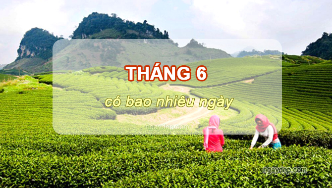 Tháng 6 có bao nhiêu ngày, tuần, giờ, phút, giây? Tháng 6 có ngày 31 không?
