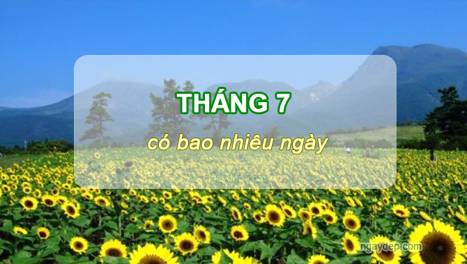 Tháng 7 có bao nhiêu ngày, tuần, giờ, phút, giây? Tháng 7 có ngày 31 không?