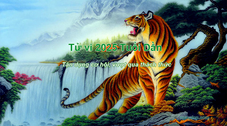Tử vi 2025 Tuổi Dần Tử vi 2025 Tuổi Dần
