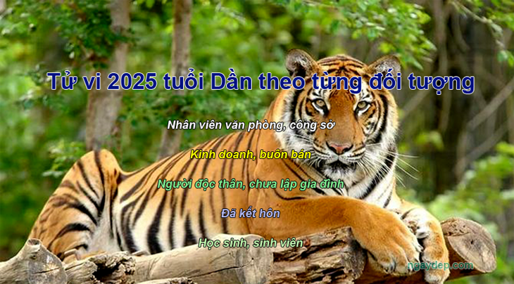 Tử vi 2025 tuổi Dần theo đối tượng nhân viên văn phòng, kinh doanh, học sinh