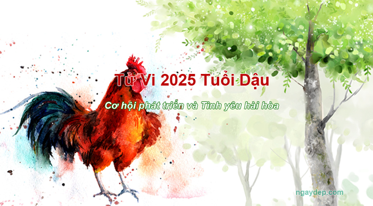 Tử vi 2025 Tuổi Dậu Tử vi 2025 Tuổi Dậu