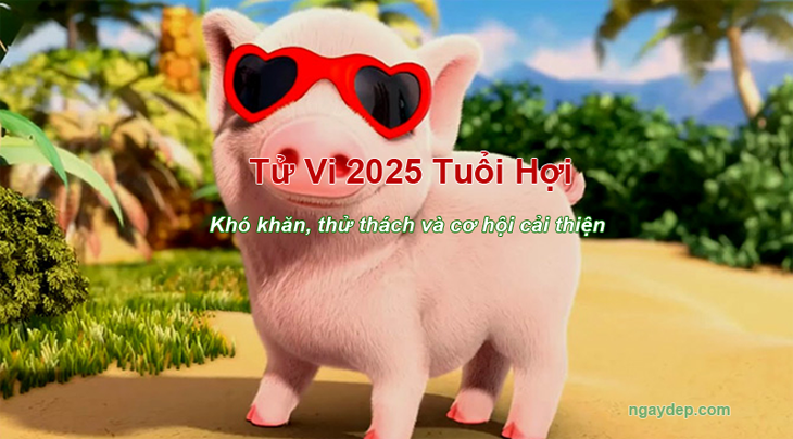 Tử vi 2025 Tuổi Hợi Tử vi 2025 Tuổi Hợi