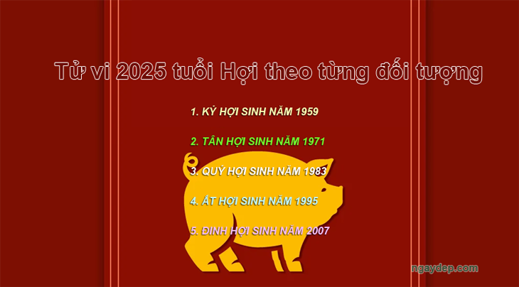 Tử vi 2025 tuổi Hợi theo năm sinh: 1959, 1971, 1983, 1995, 2007