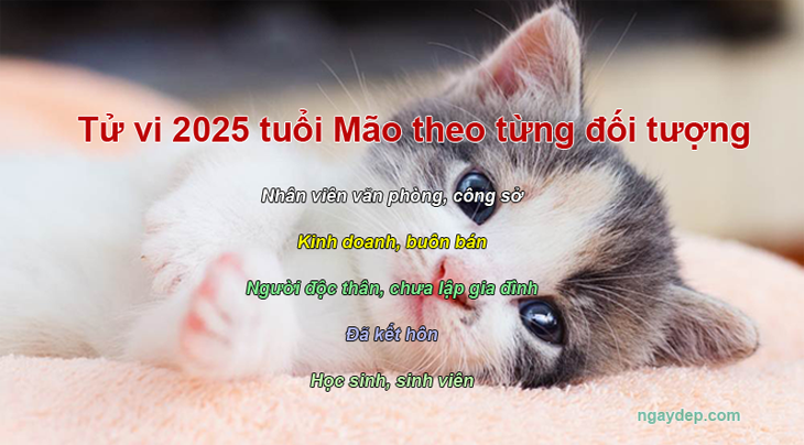 Tử vi 2025 tuổi Mão theo các đối tượng nhân viên văn phòng, kinh doanh
