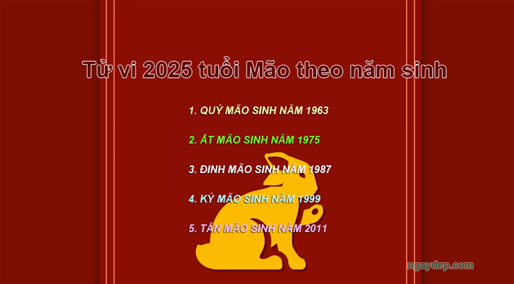 Tử vi 2025 tuổi Mão theo năm sinh: 1963, 1075, 1987, 1999, 2011