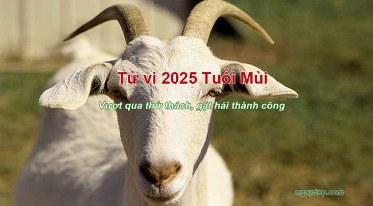 Tử vi 2025 Tuổi Mùi Tử vi 2025 Tuổi Mùi