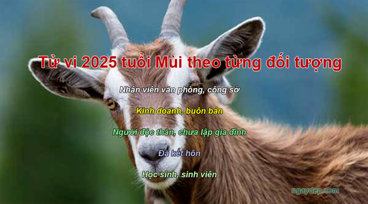 Tử vi 2025 tuổi Mùi theo các dạng đối tượng nhân viên văn phòng, kinh doanh, độc thân
