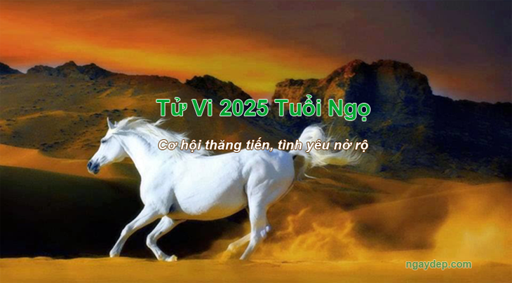 Tử vi 2025 Tuổi Ngọ Tử vi 2025 Tuổi Ngọ