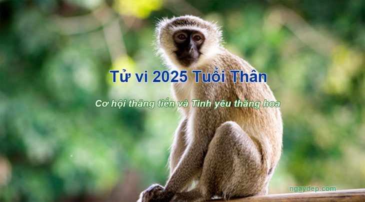 Tử vi 2025 Tuổi Thân Tử vi 2025 Tuổi Thân