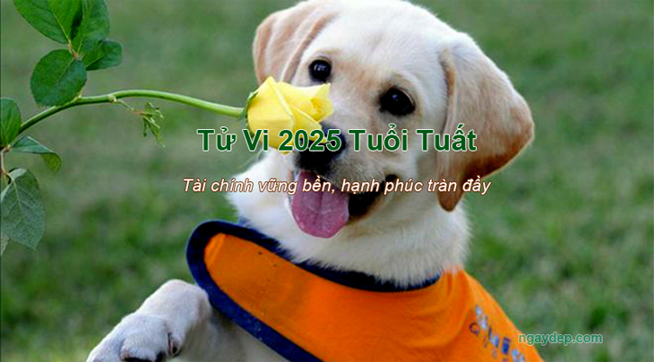Tử vi 2025 Tuổi Tuất Tử vi 2025 Tuổi Tuất