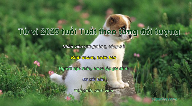 Tử vi 2025  tuổi Tuất theo các dạng đối tượng nhân viên văn phòng, kinh doanh, độc thân