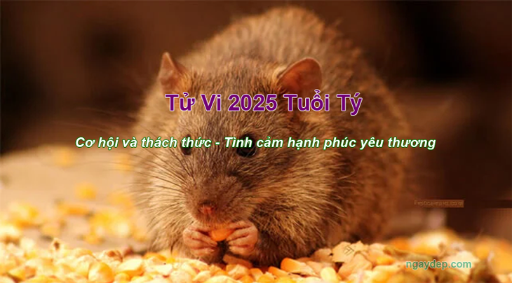 Tử vi 2025 Tuổi Tý Tử vi 2025 Tuổi Tý