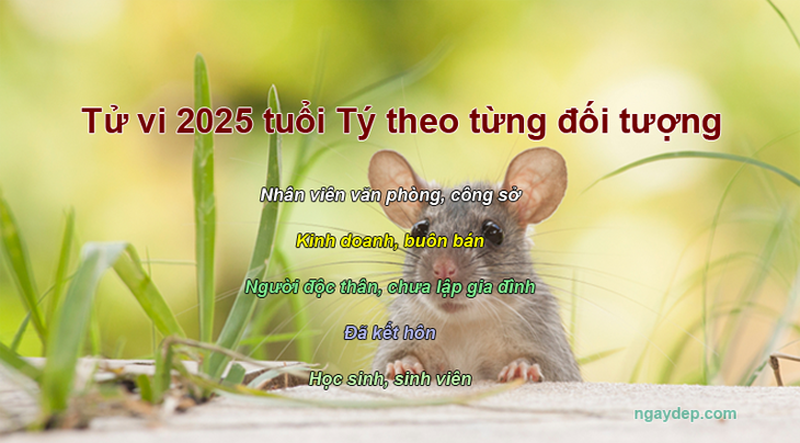 Tử vi 2025 của tuổi Tý theo từng đối tượng cụ thể như nhân viên văn phòng, kinh doanh