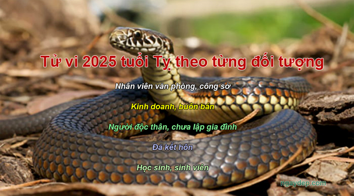 Tử vi 2025 tuổi Tỵ theo các dạng đối tượng nhân viên văn phòng, kinh doanh, độc thân</p>
<h3>1. Nhân viên văn phòng, công sở