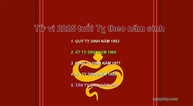 Tử vi 2025 tuổi Tỵ theo năm sinh: 1965, 1977, 1989, 2001, 2013