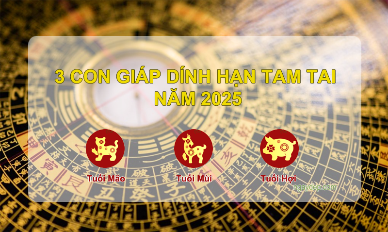 Tử vi  2025: Ba con giáp vướng hạn tam tai và cách vượt qua vận đen