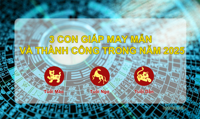 Năm 2025, tuổi Mão, Ngọ và Dần được dự đoán là 3 con giáp may mắn nhất