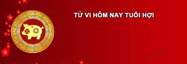 Tử vi hôm nay Tuổi Hợi