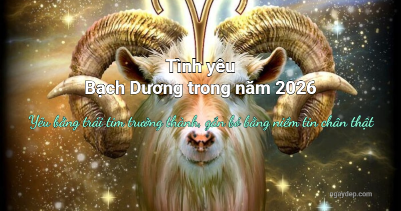 Tình yêu 2026 - Yêu bằng trái tím trưởng thành