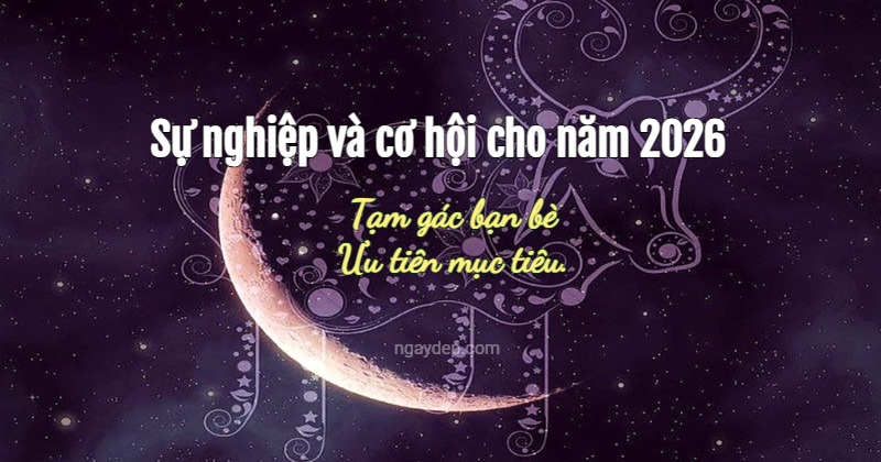 Sự nghiệp và cơ hội cho năm 2026: Trưởng thành từ thử thách, vững vàng trên con đường