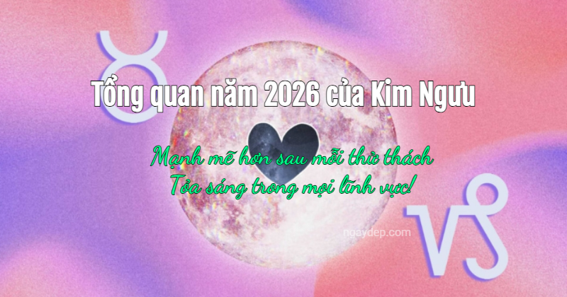 Tử vi 2026 Kim Ngưu